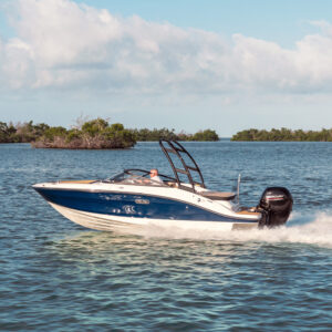 Sea Ray SPX 190 OUTBOARD