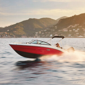 Sea Ray SPX 210 OUTBOARD