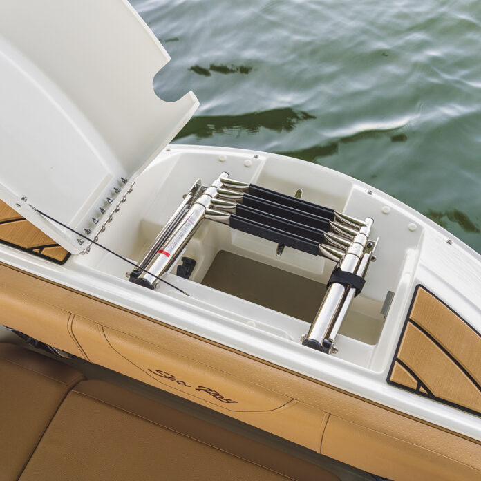 SDX 230 bow compartment with ladder