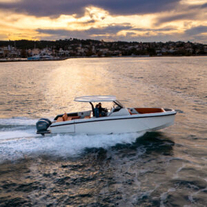 protagon 33